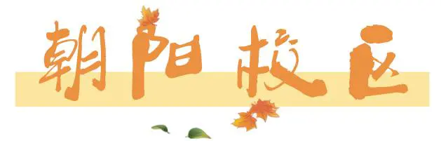 如何通过力量训练改善篮球运动员的速度和敏捷性?_1